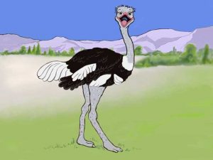 Ossie Ostrich