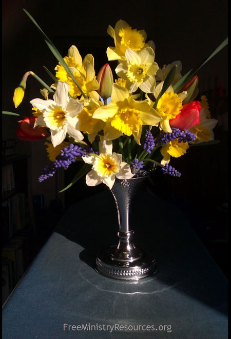 A bunch of spring flowers reflecting sunlight in a dark corner