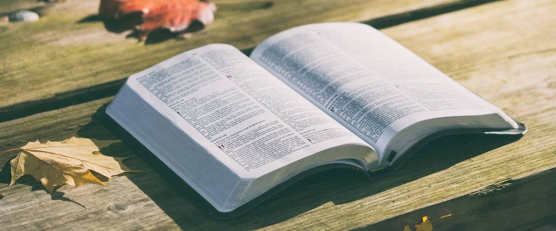 Open bible with autumn leaves