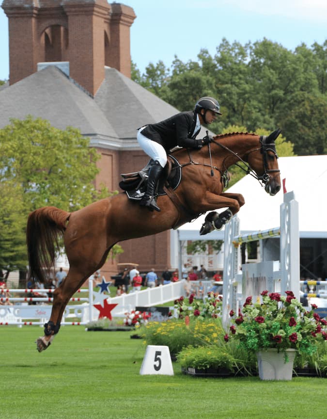 A rider and his horse leap over a fence in a show jumpimg competition.